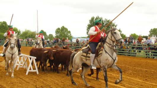 a group of people riding on the back of a horse