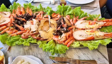 a plate of food with a sandwich and a salad